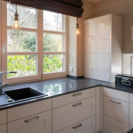 Arche Svea Lachmoewe