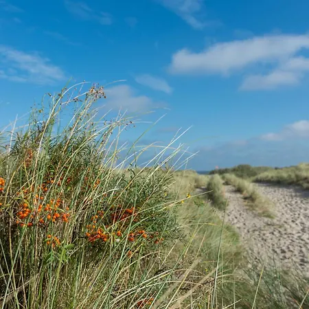 Apartmán Arche Svea Lachmoewe *