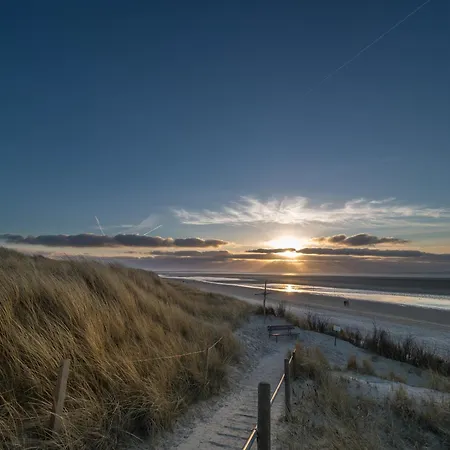 Arche Svea Lachmoewe * Spiekeroog