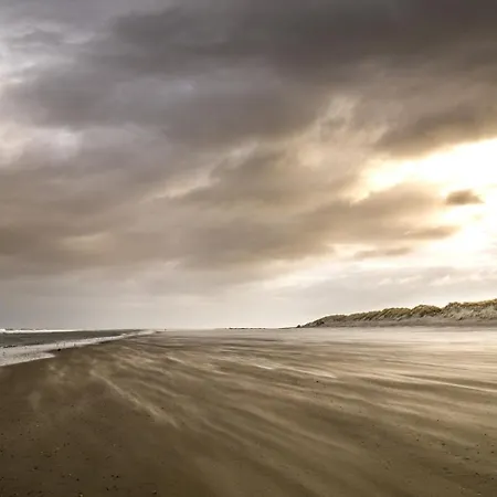 Arche Svea Lachmoewe Spiekeroog