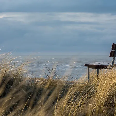 Arche Svea Lachmoewe