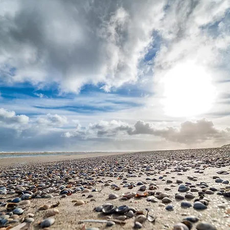 Arche Svea Lachmoewe Apartmán Spiekeroog