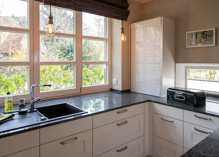 Arche Svea Lachmoewe