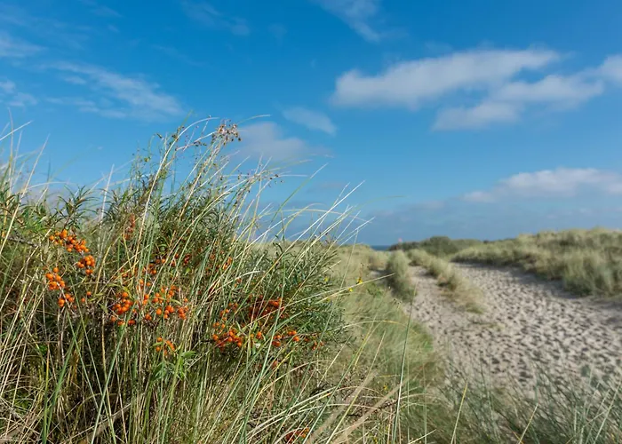 Апартаменты Arche Svea Lachmoewe *