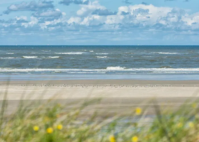 Апартаменты Arche Svea Lachmoewe *