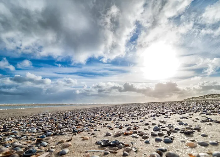 Arche Svea Lachmoewe Апартаменты Шпикерог